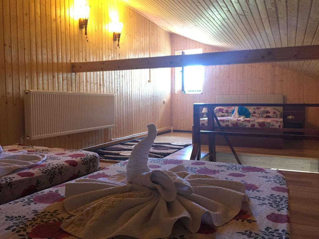 Pensiunea Roka Ранка Стая снимка